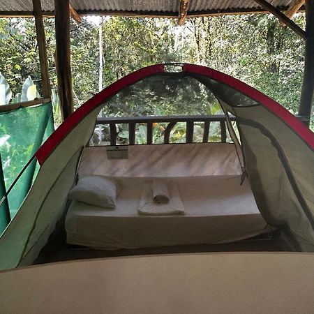 Rio Agujitas Eco Farm Hostel And Tours Drakes Bay Exterior foto