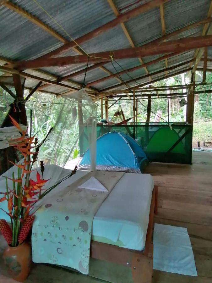 Rio Agujitas Eco Farm Hostel And Tours Drakes Bay Exterior foto