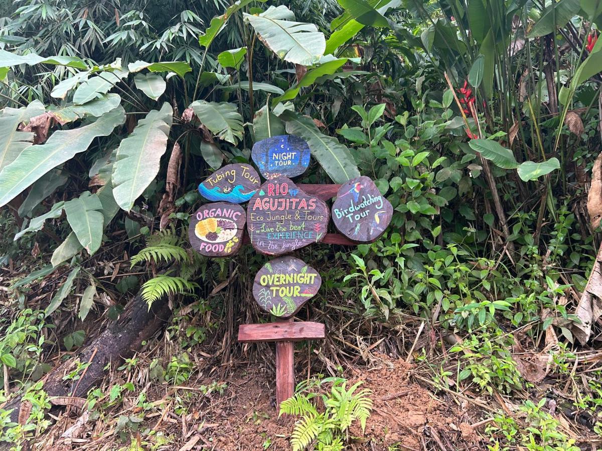 Rio Agujitas Eco Farm Hostel And Tours Drakes Bay Exterior foto
