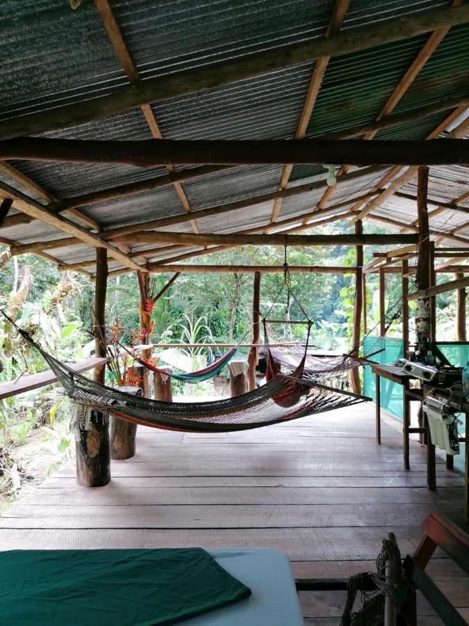 Rio Agujitas Eco Farm Hostel And Tours Drakes Bay Exterior foto